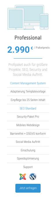 Paket: Professionelle Website um €2.990,-